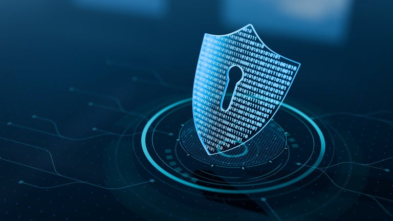 Cyber security shield with encrypted connection